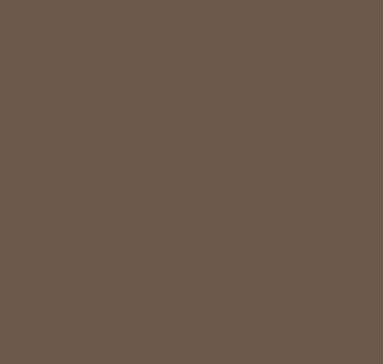 Benjamin Moore Dixon Brown CW-160 Paint Sample by DesignShop in Size: 9 in x 15 in