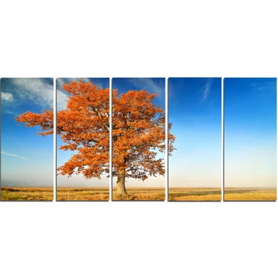 Colorful Lonely Fall Tree 5 Piece Photographic Print on Wrapped Canvas Set Design Art
